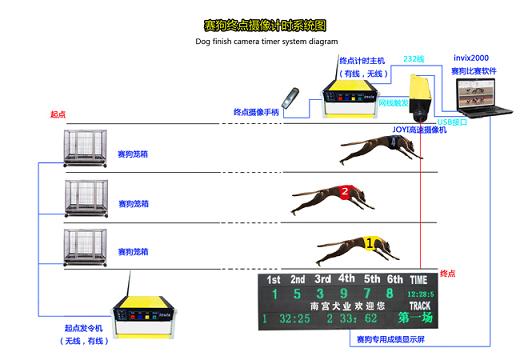 供应湖南怀化赛狗比赛成绩智能化测试仪厂家，供应趣味赛狗计时记分价格，赛狗计时记分方案与介绍