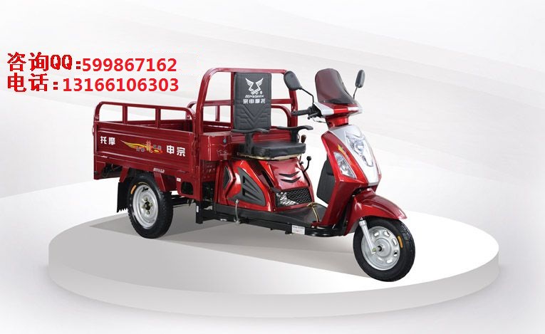 宗申T15福星新秀 三輪摩托車圖片