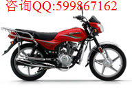 豪爵hj150-2兩輪摩托車圖片