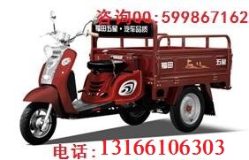 福田五星100ZY(N)三輪老年圖片/福田五星100ZY(N)三輪老年樣板圖 (1)