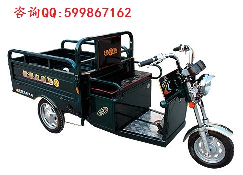 供應(yīng)綠源DSZ1-4820三輪電動車  河北