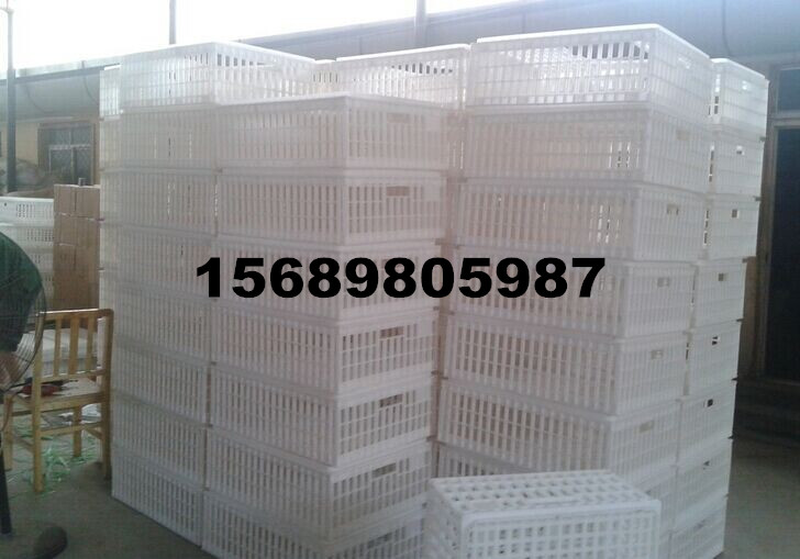 容量大經(jīng)久耐用大雞筐圖片/容量大經(jīng)久耐用大雞筐樣板圖 (4)