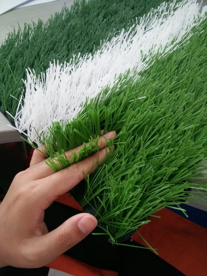 足球場(chǎng)草坪圖片/足球場(chǎng)草坪樣板圖 (4)