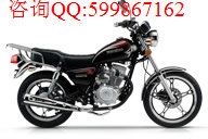 豪爵HJ125-8E太子摩托車圖片