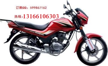 新大洲本田SDH125-49金鋒圖片