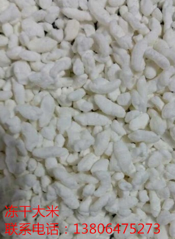 供應方便飯凍干設備真空凍干機 凍干機 諸城華大真空冷凍干燥機價格