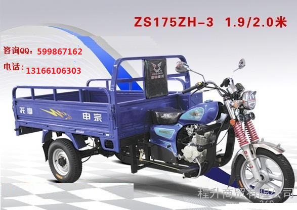 宗申ZS175ZH-3三輪摩托車圖片/宗申ZS175ZH-3三輪摩托車樣板圖 (1)