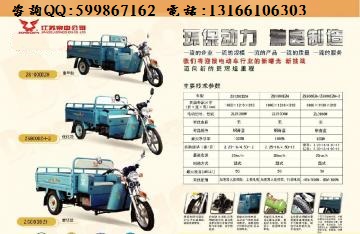 宗申ZS1000DZH-ZS80圖片