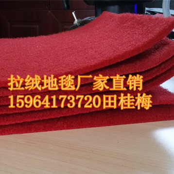 拉絨地毯圖片/拉絨地毯樣板圖 (3)