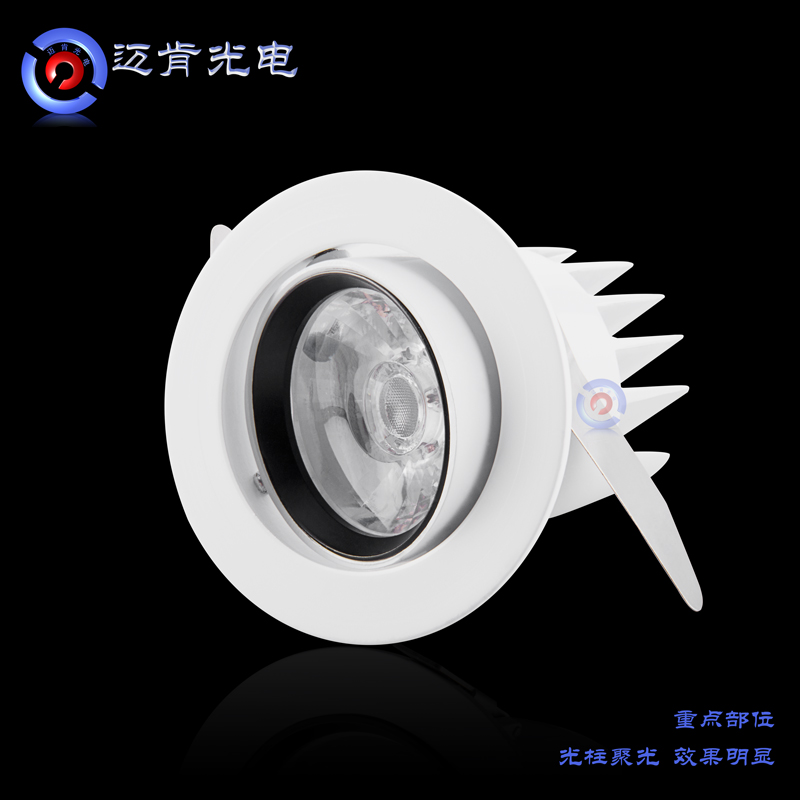 *歐式時尚LED射燈12wL
