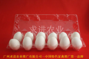 土雞蛋托批發(fā)圖片