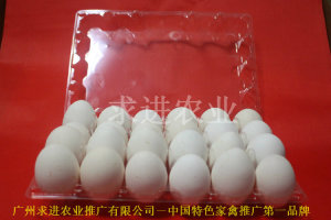蛋托廠家   蛋托供應(yīng)   蛋托行情