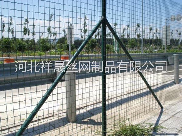 養(yǎng)雞鐵絲圍網(wǎng)圖片