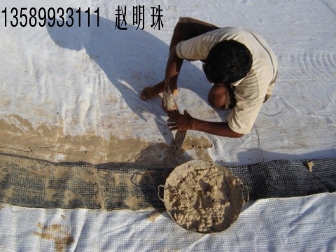 供應(yīng)憑祥市膨潤(rùn)土防水毯 憑祥市膨潤(rùn)土防水毯價(jià)格