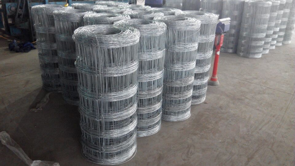 牛欄網(wǎng)圖片/牛欄網(wǎng)樣板圖 (3)