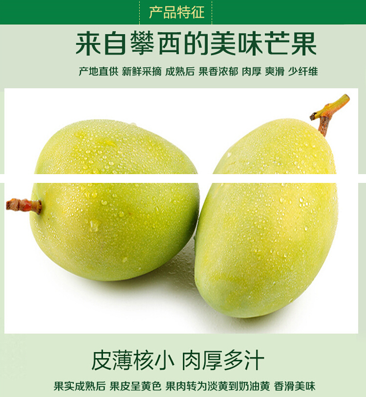 新鮮凱特芒果8斤包郵 攀枝花芒果 青皮大芒果新鮮
