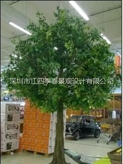仿真榕樹圖片/仿真榕樹樣板圖 (2)