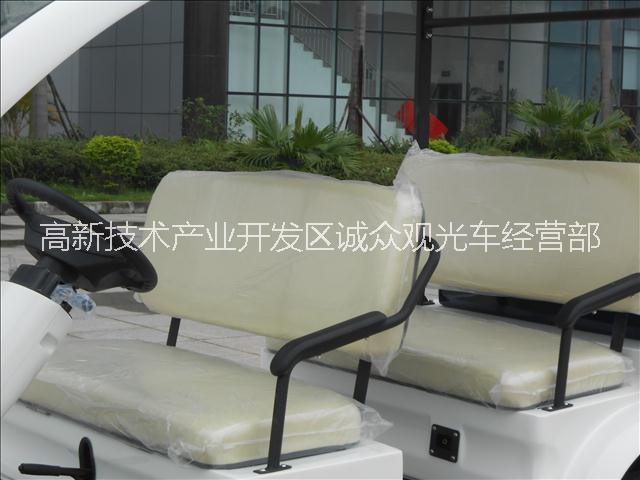 電瓶巡邏車圖片/電瓶巡邏車樣板圖 (3)