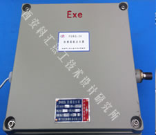 FBGNQ-20防爆型高能點(diǎn)火裝圖片/FBGNQ-20防爆型高能點(diǎn)火裝樣板圖 (3)