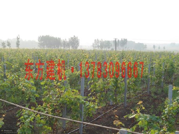 供應葡萄架柱子機，開啟“火爆銷售”模式，歡迎選購