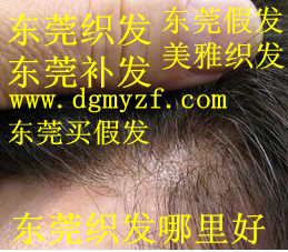 東莞織發(fā)供應商圖片/東莞織發(fā)供應商樣板圖 (1)