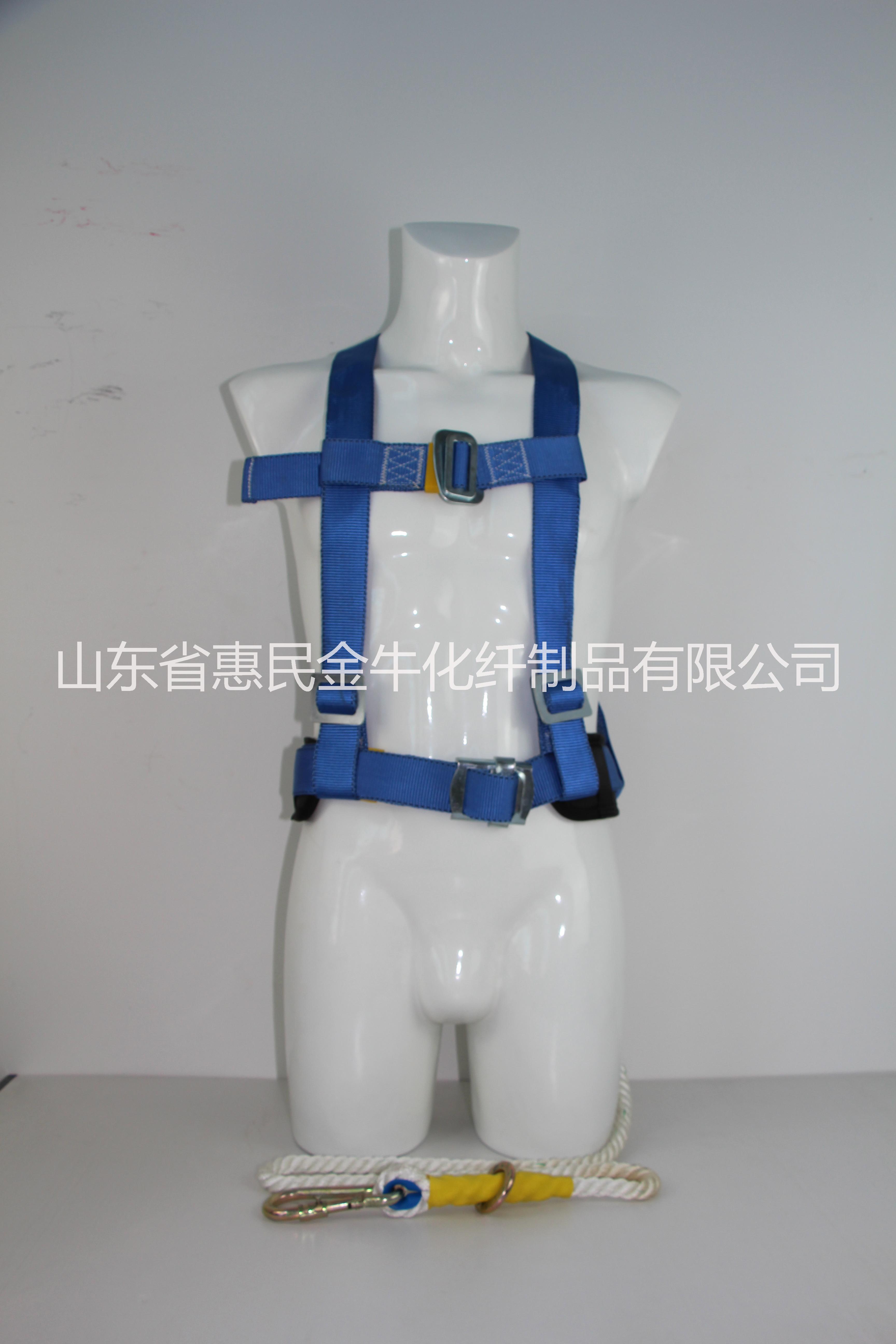 供應泰豐牌雙背雙繩安全帶供應商，濱州建筑安全帶廠家報價