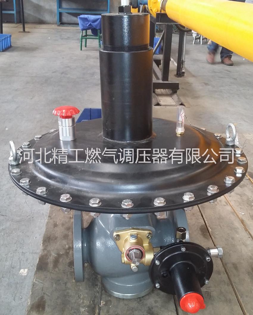 燃?xì)庹{(diào)壓器圖片/燃?xì)庹{(diào)壓器樣板圖 (2)