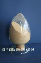 白蛋白圖片/白蛋白樣板圖 (2)