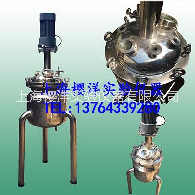 北京YY-NF-5L實驗室不銹鋼反應釜圖片
