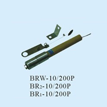 雷控BR1-10/50A電容器專用熔斷器圖片