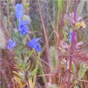 南昌TWI-JI工作教導技能提升圖片