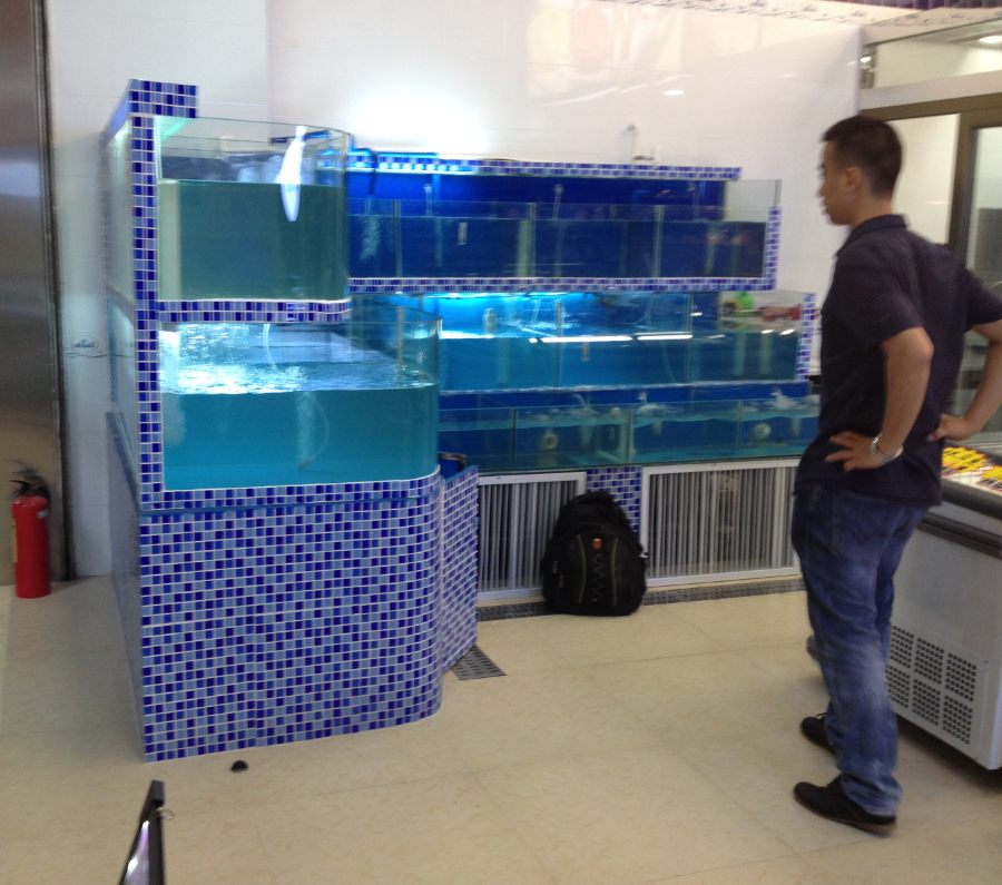 餐飲海鮮圖片/餐飲海鮮樣板圖 (4)