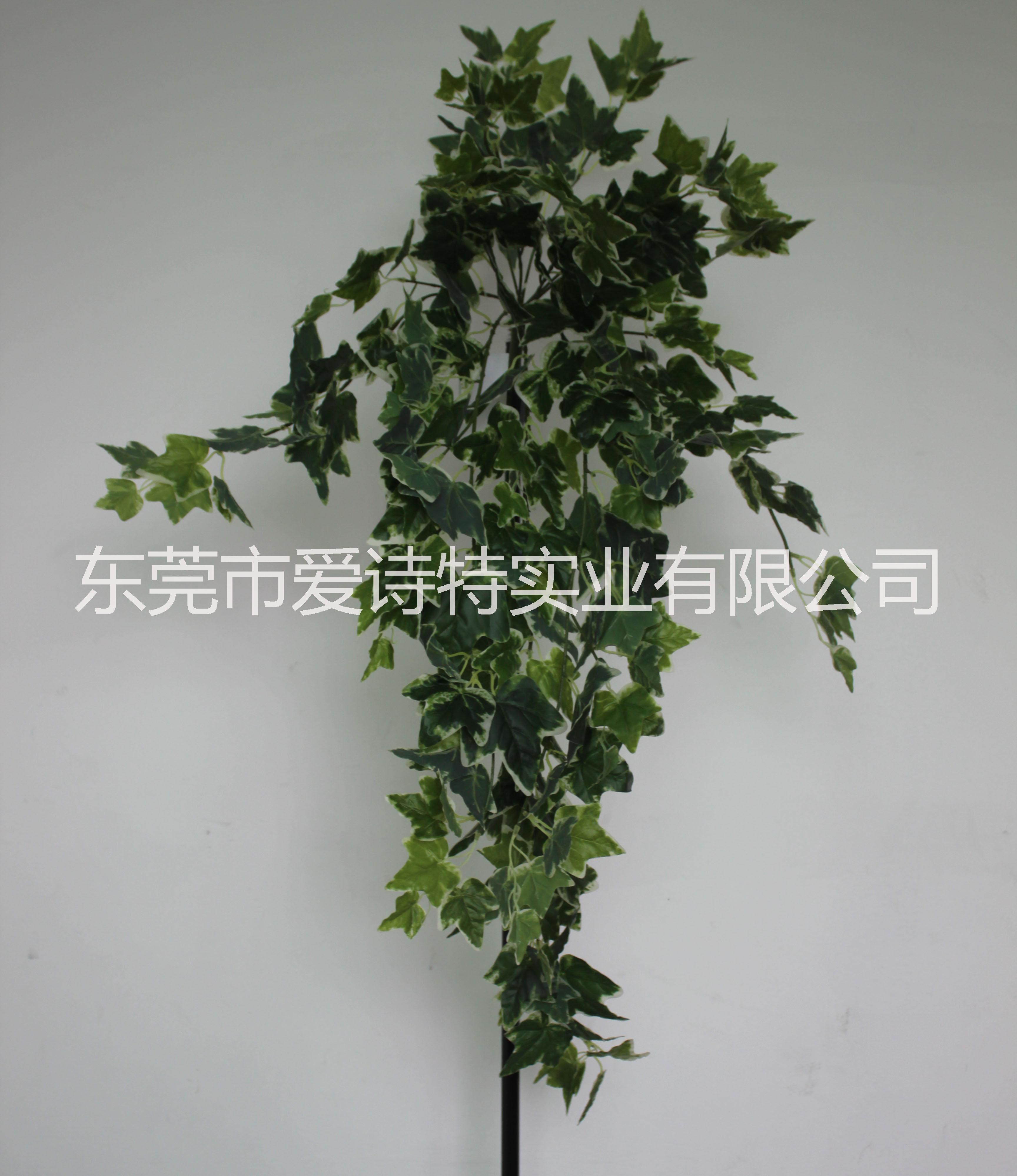 仿真绿植壁挂图片