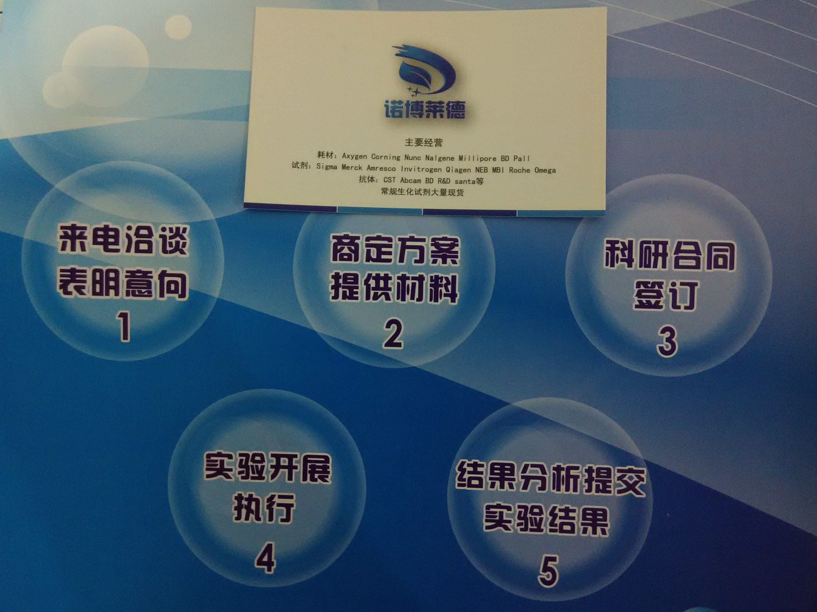 北京市细胞周期与细胞凋亡检测试剂盒厂家供应细胞周期与细胞凋亡检测试剂盒 NobleRyder D0830 染色剂 细胞染色 量大优惠 质量优惠 50T