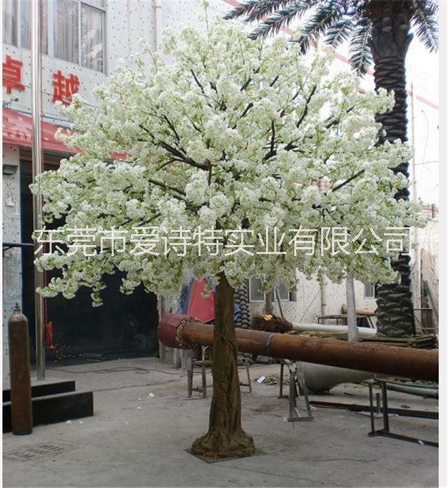 櫻花樹圖片/櫻花樹樣板圖 (1)