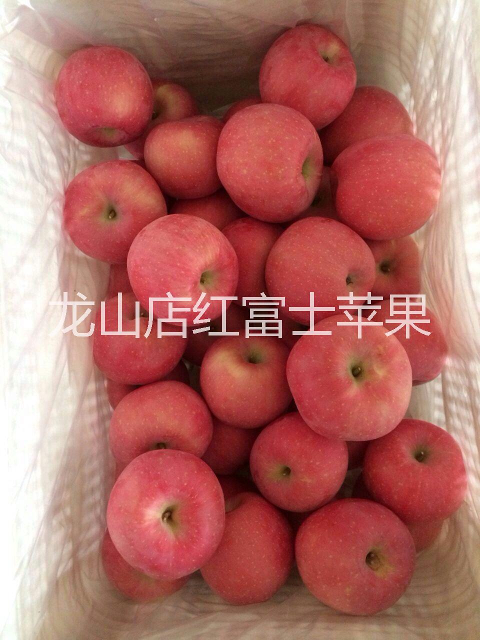 煙臺嘎拉蘋果圖片/煙臺嘎拉蘋果樣板圖 (2)