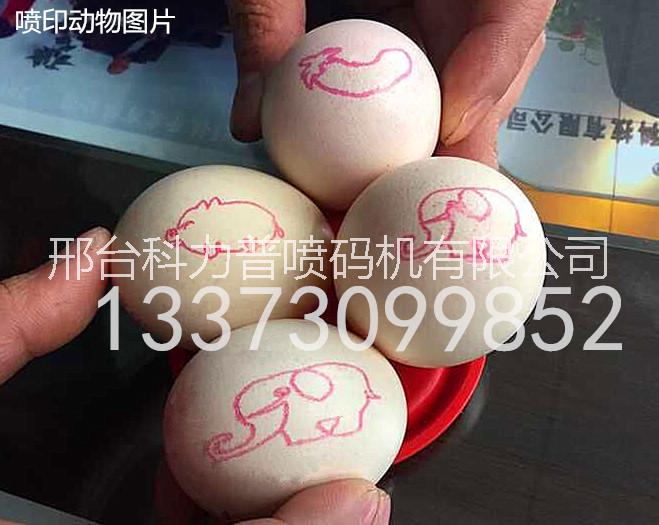 河北新雞蛋噴碼機，單排藍色藍色圖片