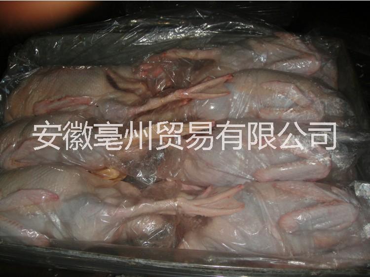 冷凍白條鴨 凍白條兔 冷凍白條鵝圖片