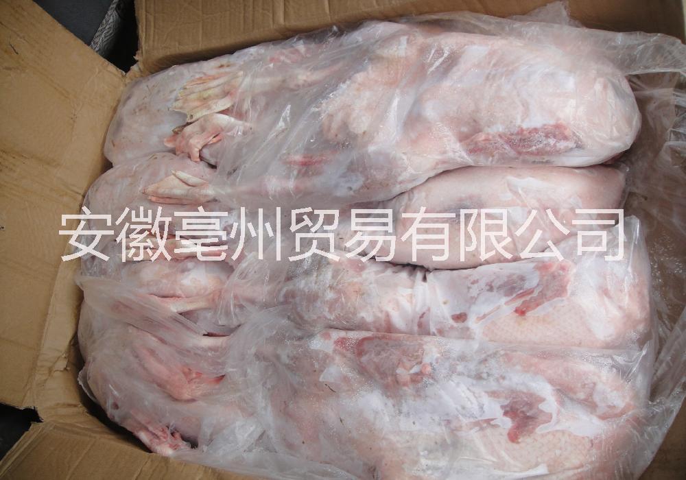 冷凍白條鴨圖片/冷凍白條鴨樣板圖 (2)