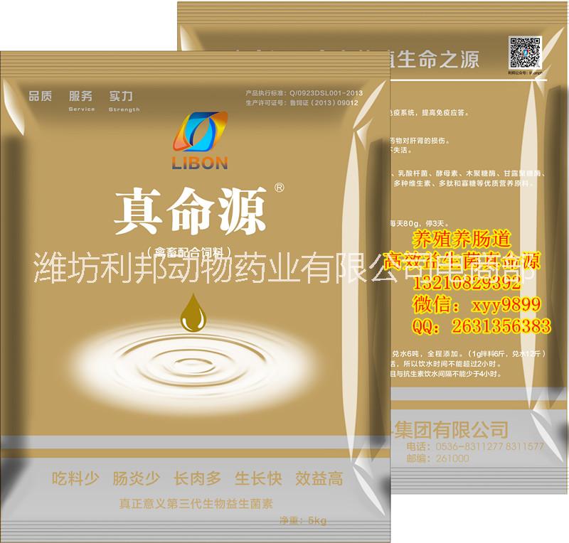益生菌圖片/益生菌樣板圖 (4)