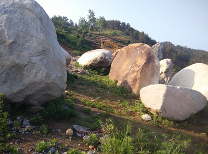 自然風景石 河南鵝卵石景觀石產(chǎn)地