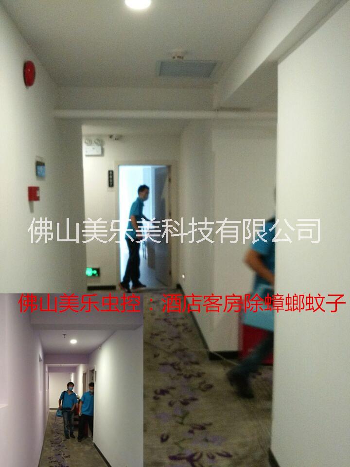 殺蟑螂圖片/殺蟑螂樣板圖 (2)
