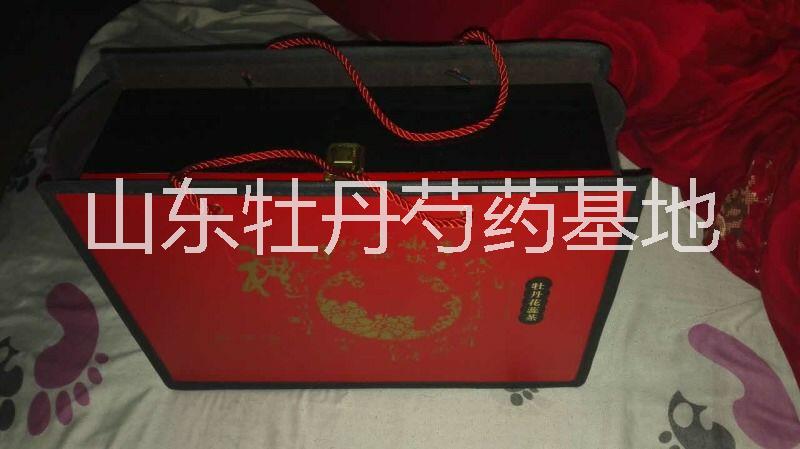 牡丹花朵圖片/牡丹花朵樣板圖 (2)