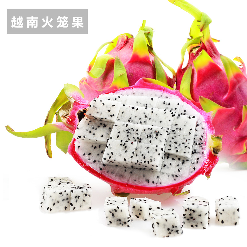 越南火龍果圖片/越南火龍果樣板圖 (4)