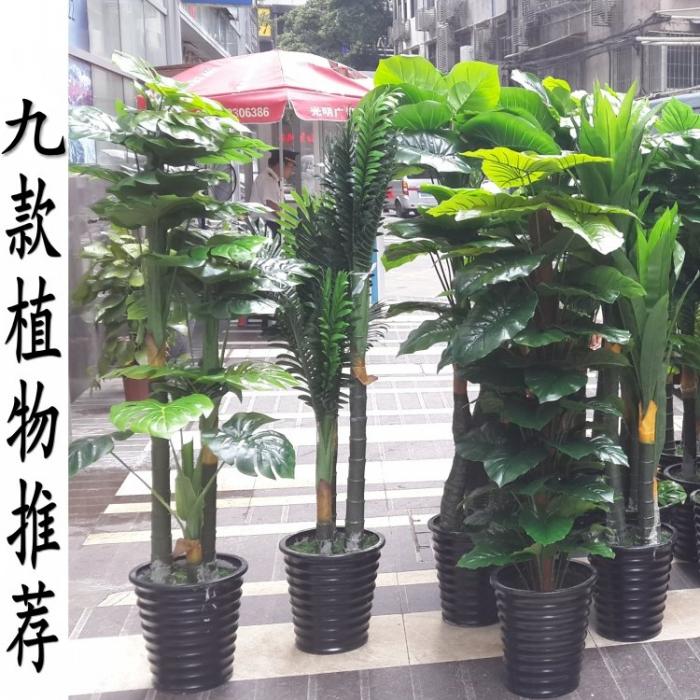 仿真盆栽仿真树假树假植物护眼绿植图片