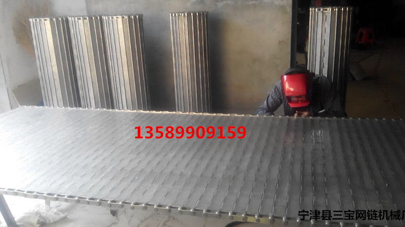 輸送鏈板不銹鋼鏈板塑料鏈板圖片/輸送鏈板不銹鋼鏈板塑料鏈板樣板圖 (2)