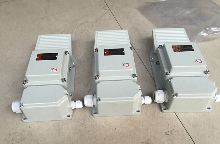 腳踏開關(guān)圖片/腳踏開關(guān)樣板圖 (2)