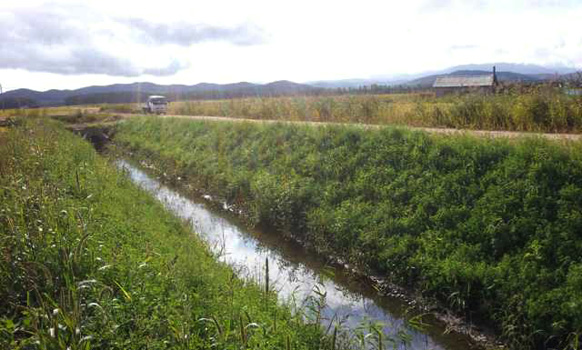 柔性蜂巢土工格室擋墻圖片/柔性蜂巢土工格室擋墻樣板圖 (4)