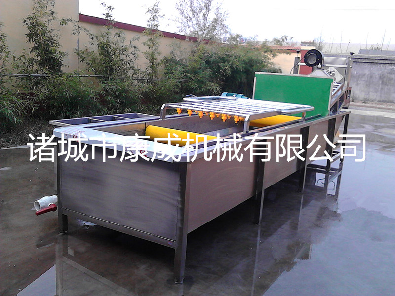 供應(yīng)果蔬清洗機(jī)氣泡清洗機(jī)油桃清洗機(jī)