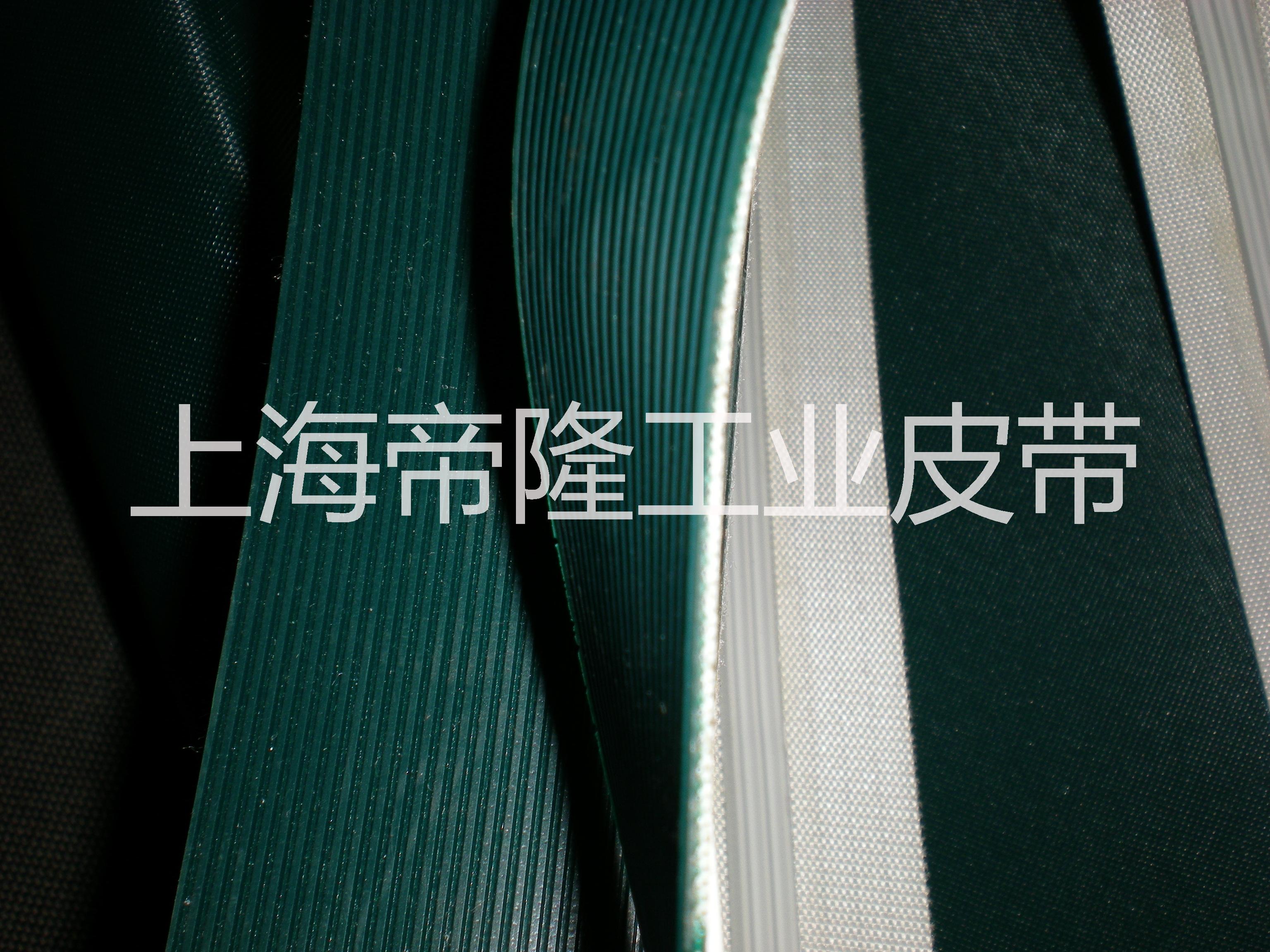 上海帝隆PU耐磨防油輸送皮帶圖片/上海帝隆PU耐磨防油輸送皮帶樣板圖 (3)